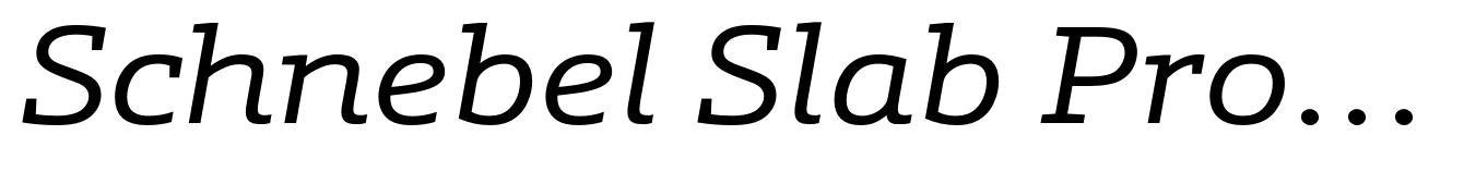 Schnebel Slab Pro Expanded Italic